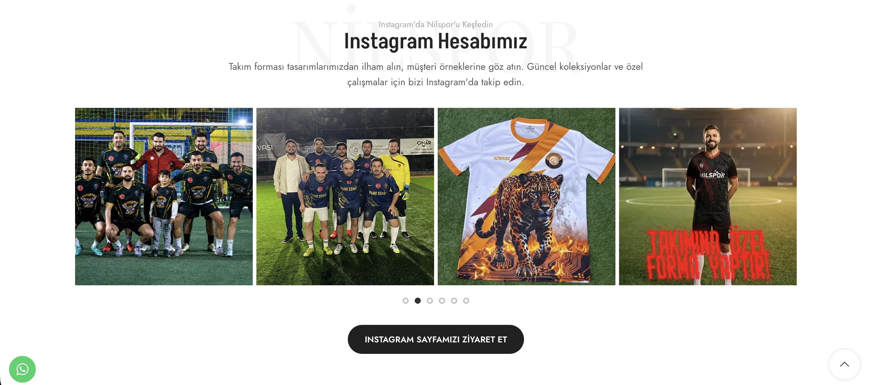 Nilspor proje ekran görüntüsü 10