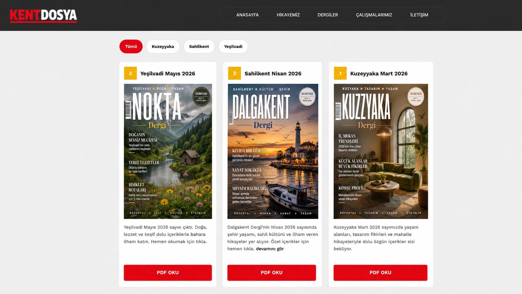 WordPress Özel Eklenti Geliştirme